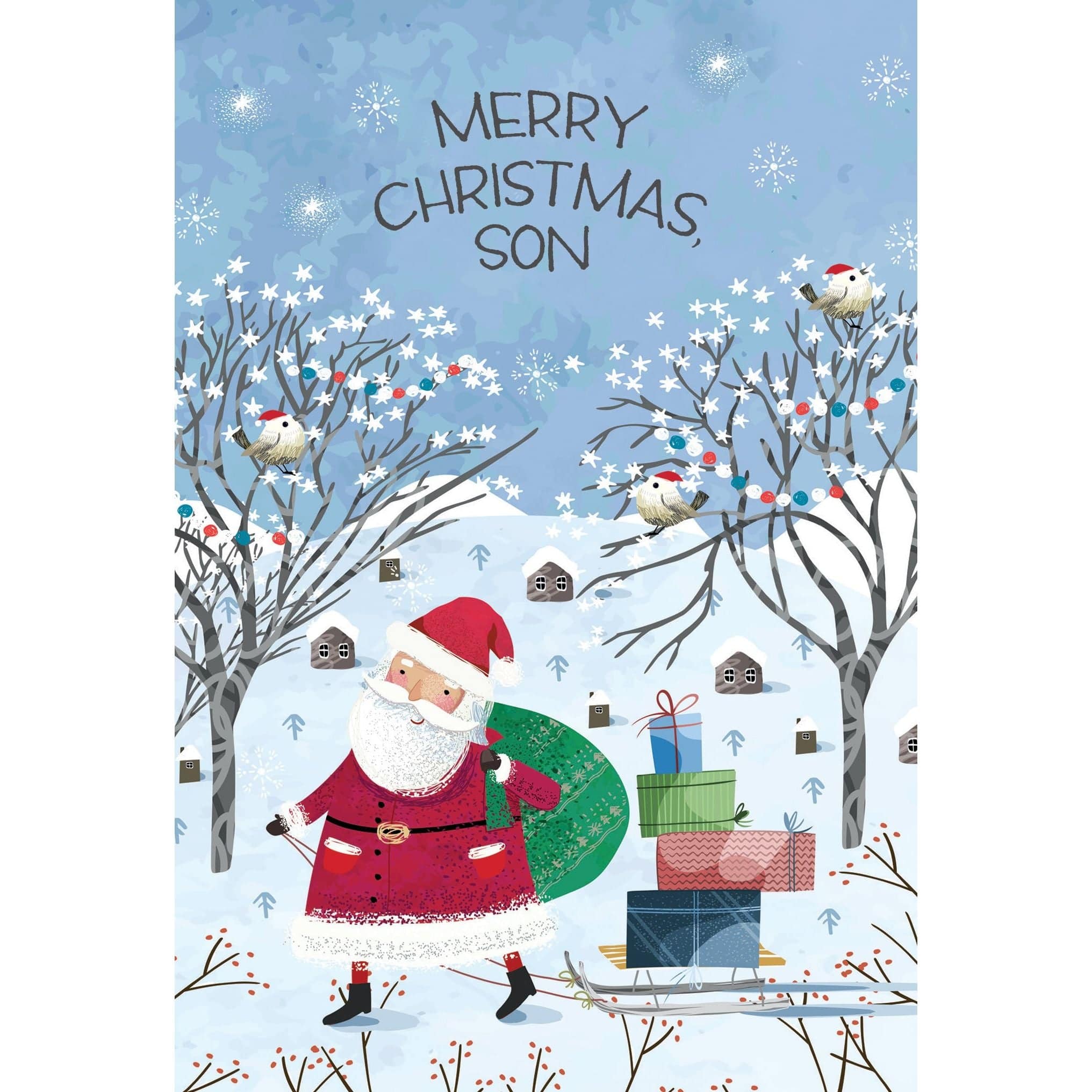 Pictura Santa Sled Christmas Card for Son featuring festive holiday design with Santa on a sled, seasonal greeting card.